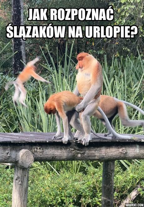 Dzieło sztuki #14175