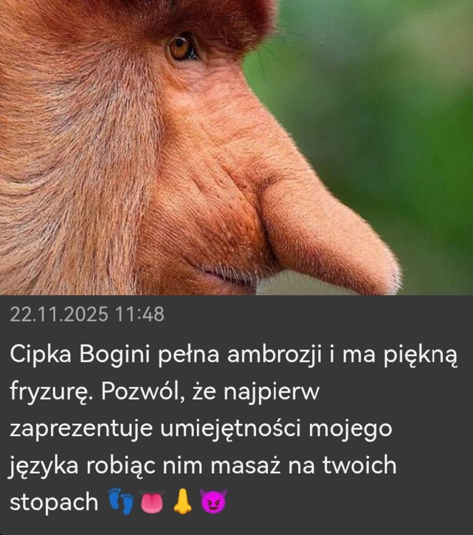 Dzieło sztuki #14177