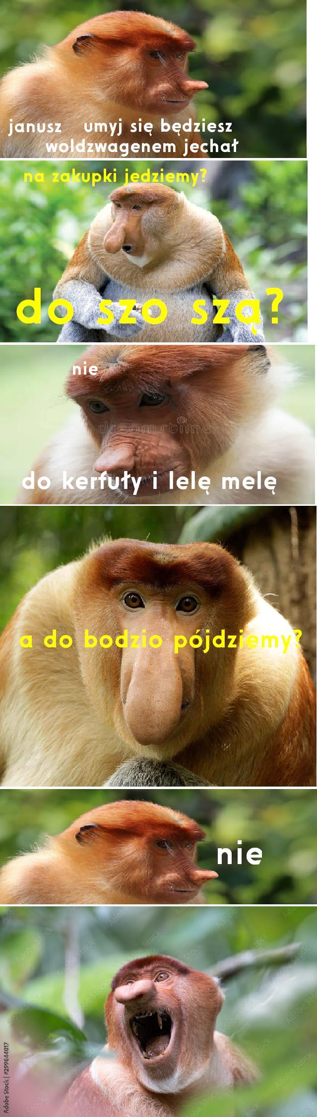 Dzieło sztuki #14181