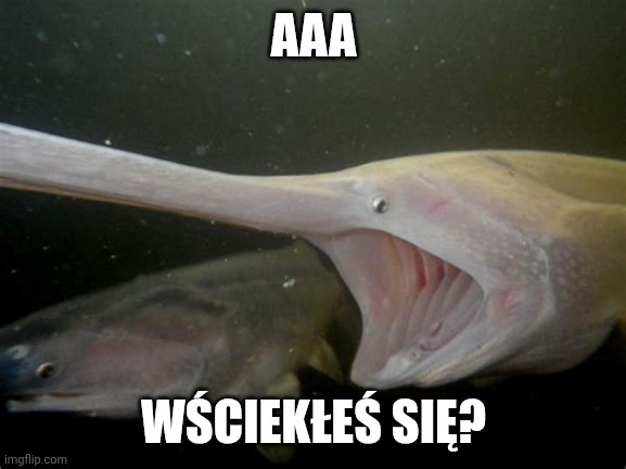 Dzieło sztuki #14190