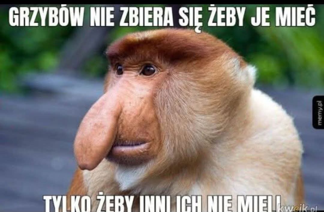 Dzieło sztuki #14212