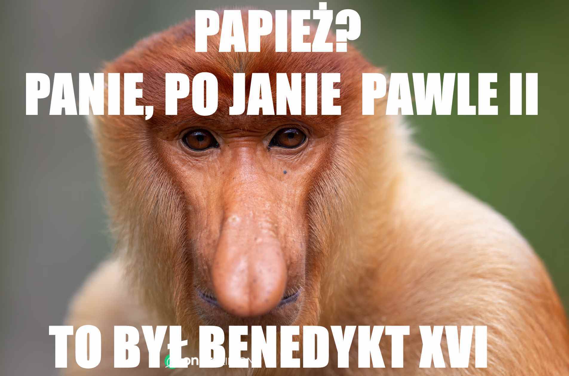 Dzieło sztuki #14216