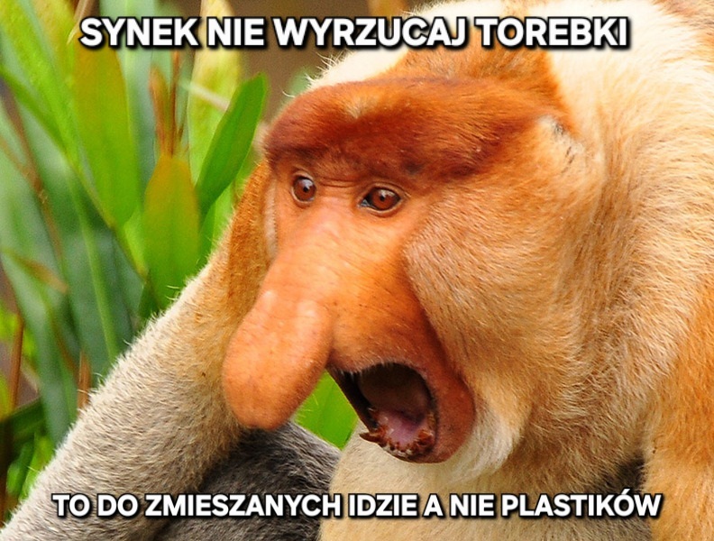 Dzieło sztuki #14218