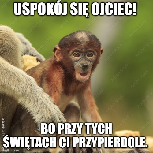 Dzieło sztuki #14223