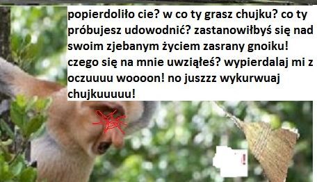 Dzieło sztuki #14233