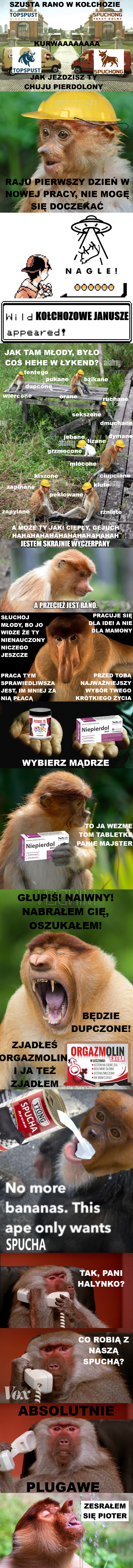 Dzieło sztuki #14241