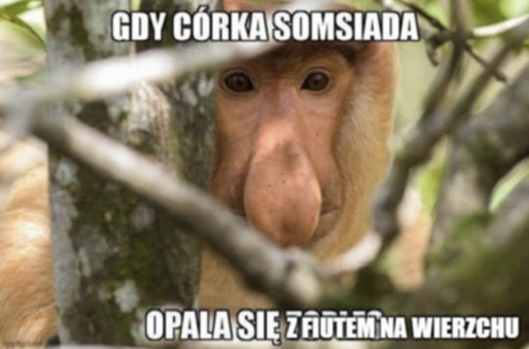 Dzieło sztuki #14242