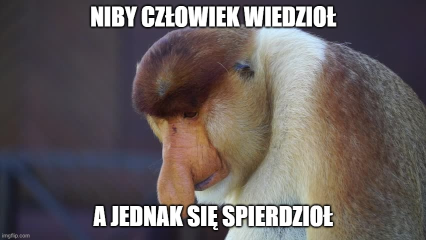 Dzieło sztuki #14246