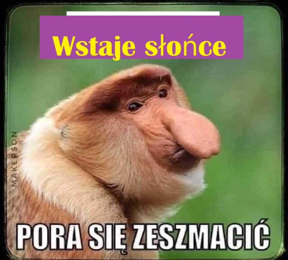 Dzieło sztuki #14251