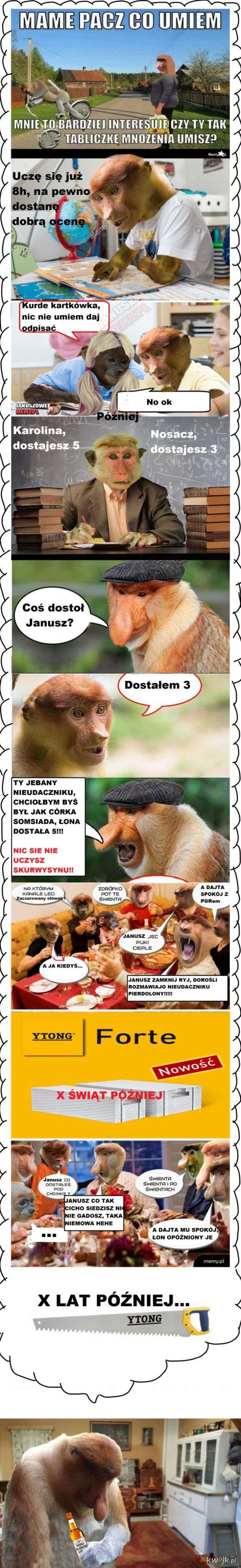 Dzieło sztuki #14266