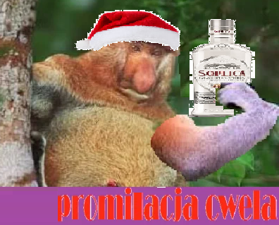 Dzieło sztuki #14269