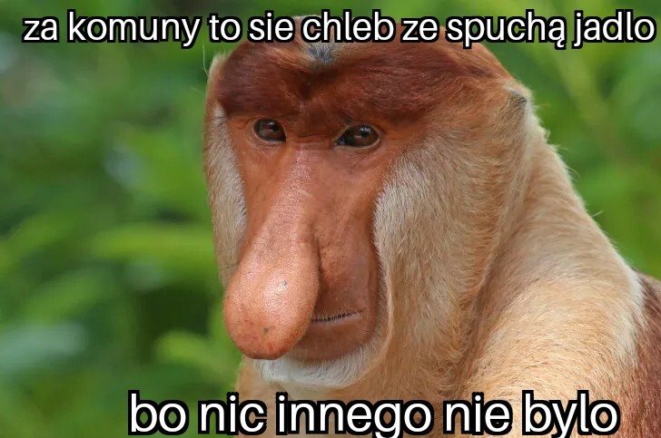 Dzieło sztuki #14280
