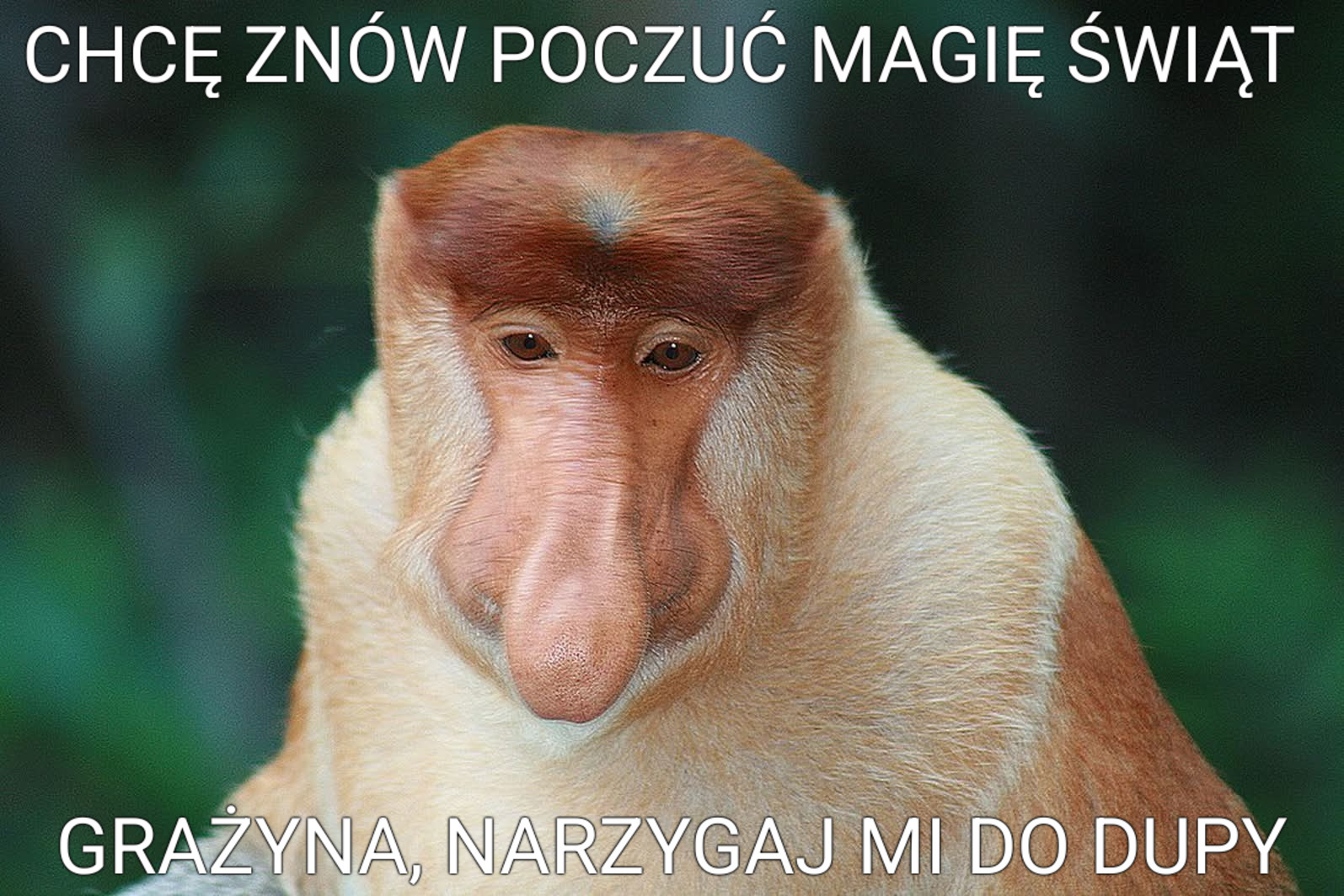 Dzieło sztuki #14288