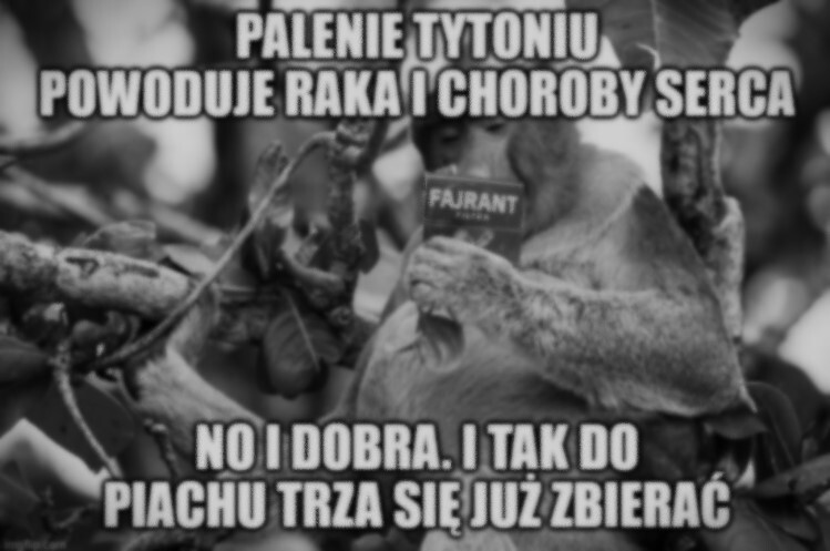 Dzieło sztuki #14298