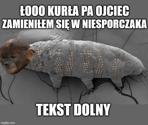 Dzieło sztuki #14314