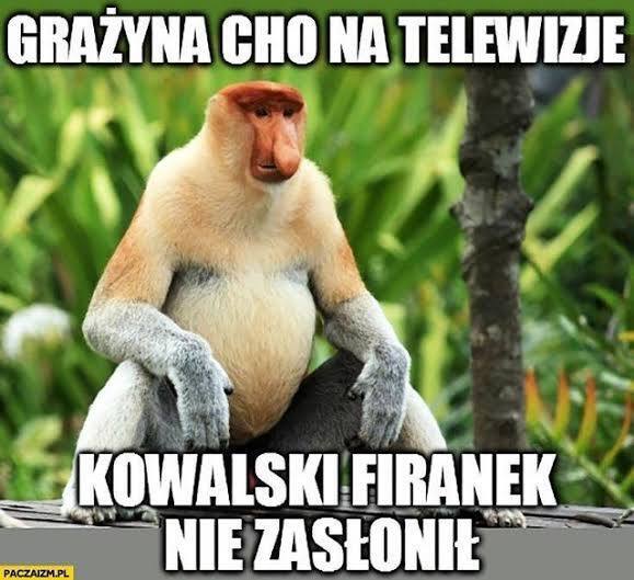 Dzieło sztuki #14320