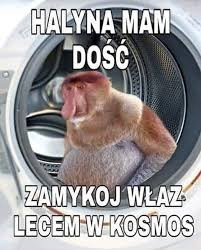 Dzieło sztuki #14333