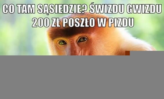 Dzieło sztuki #14336