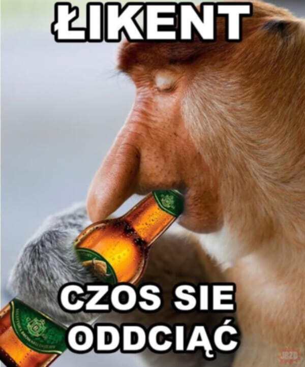 Dzieło sztuki #14346