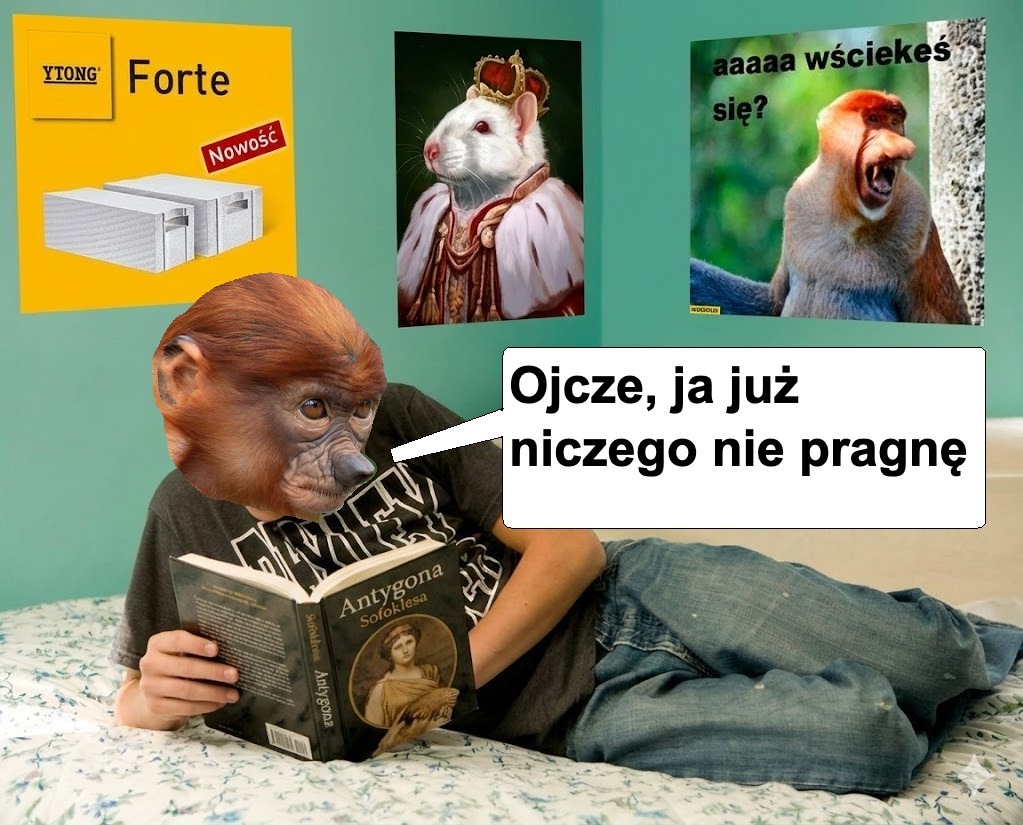 Dzieło sztuki #14379
