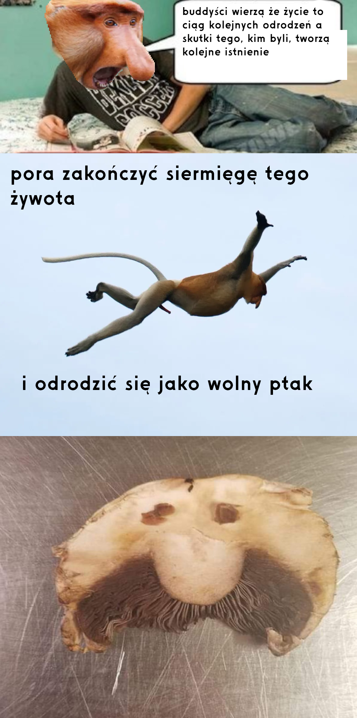 Dzieło sztuki #14381