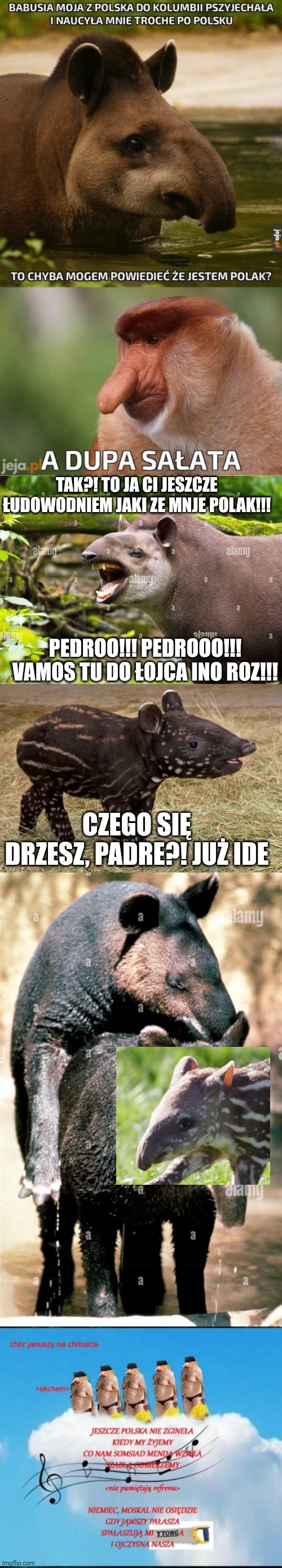 Dzieło sztuki #14391