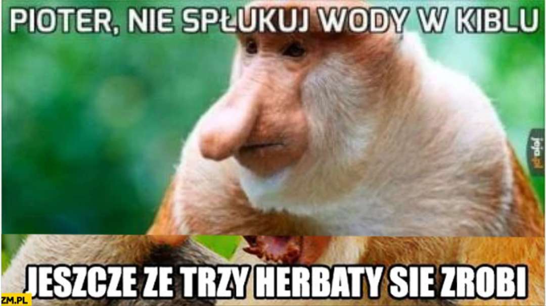 Dzieło sztuki #14399