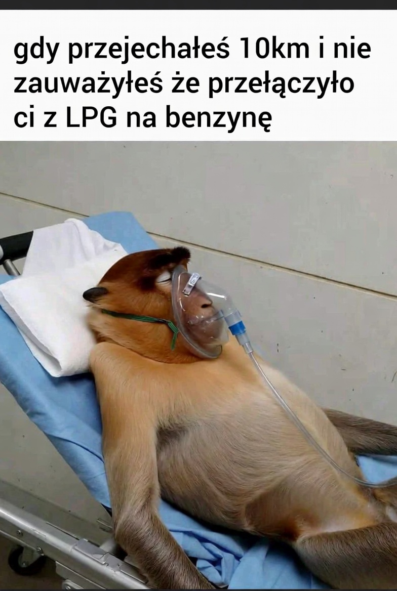 Dzieło sztuki #14414