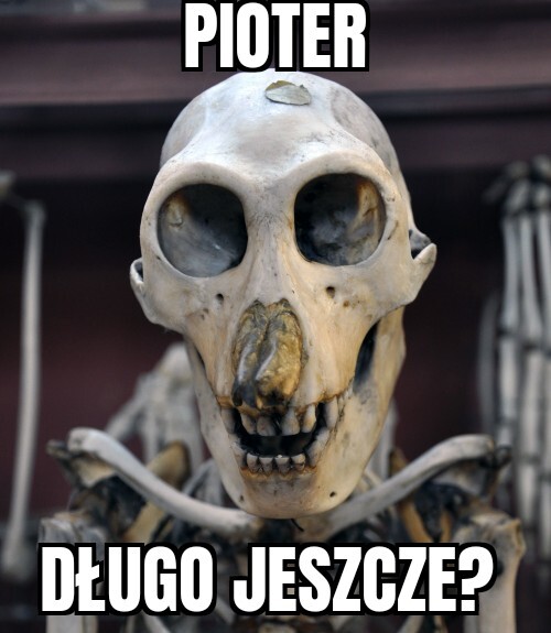 Dzieło sztuki #14438