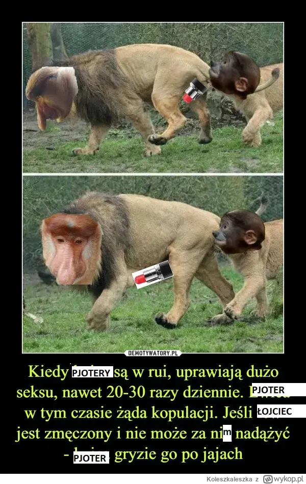 Dzieło sztuki #14445