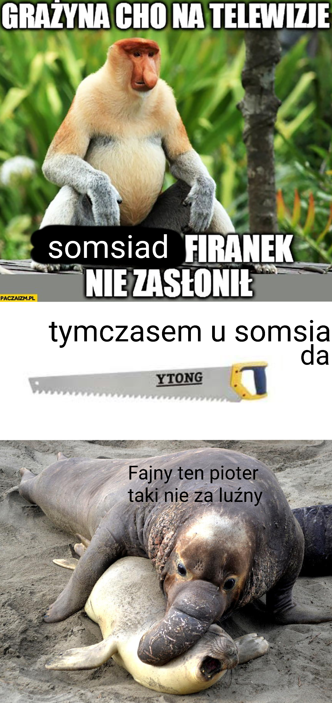 Dzieło sztuki #14448