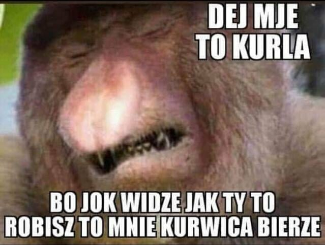 Dzieło sztuki #14461