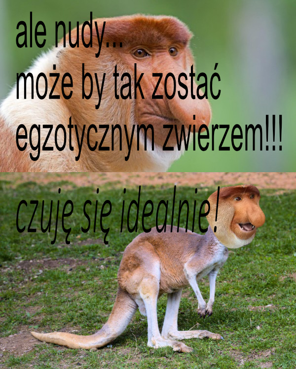 Dzieło sztuki #14478