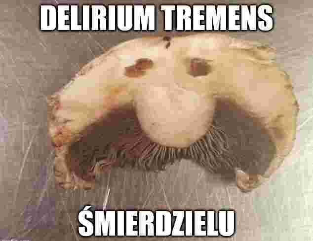 Dzieło sztuki #14494