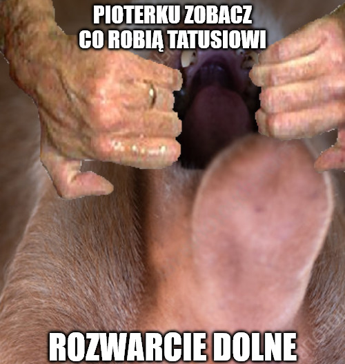 Dzieło sztuki #14519