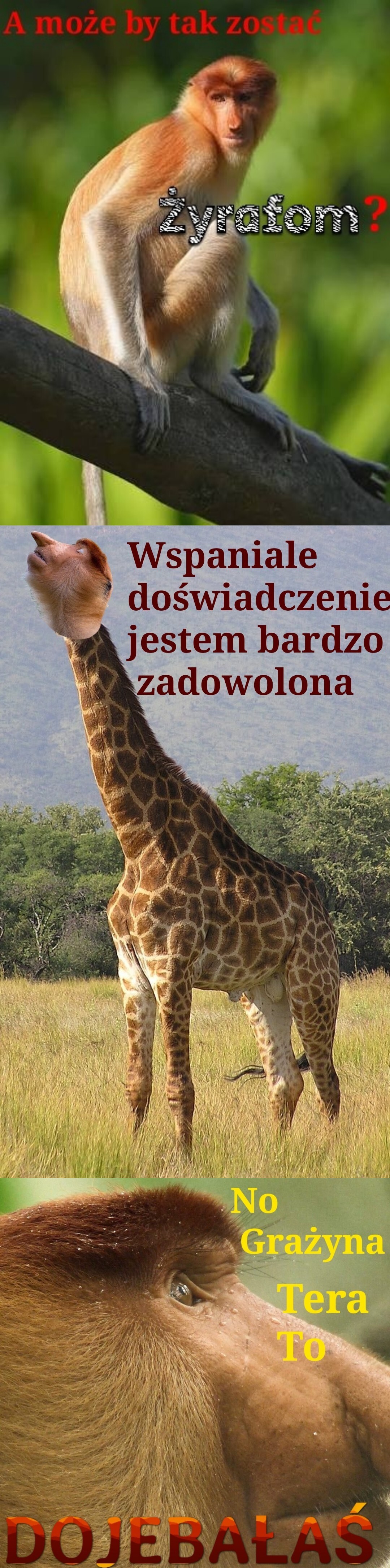 Dzieło sztuki #14520