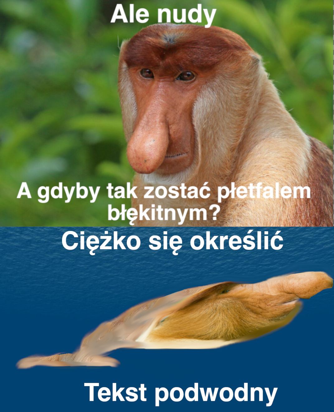 Dzieło sztuki #14528