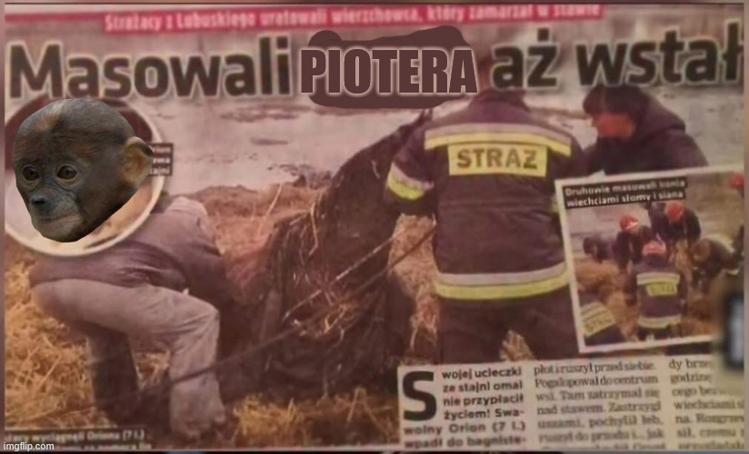 Dzieło sztuki #14543