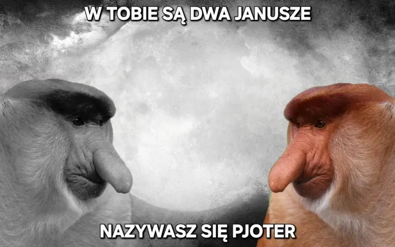 Dzieło sztuki #14550