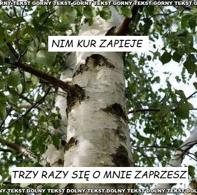 Dzieło sztuki #14555
