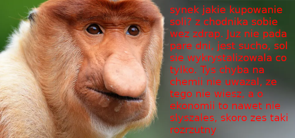 Dzieło sztuki #14560