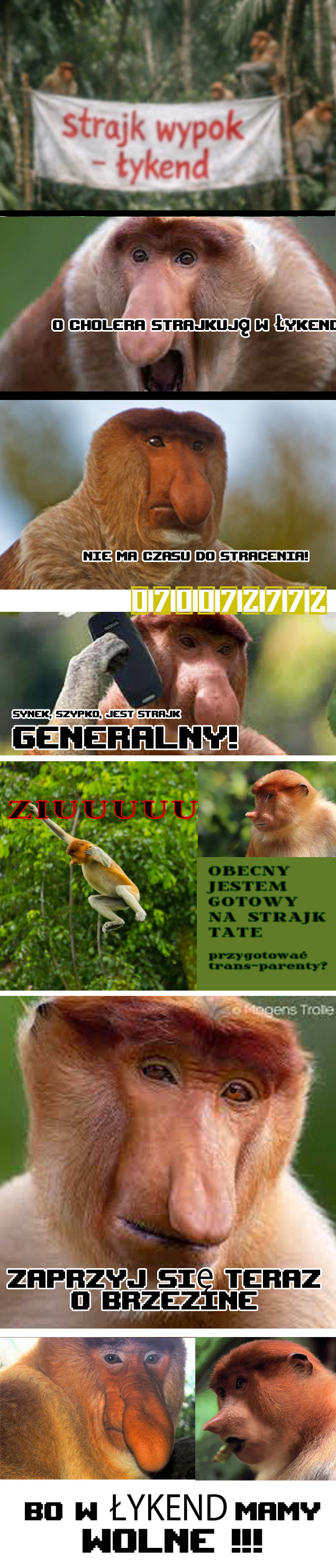 Dzieło sztuki #14563