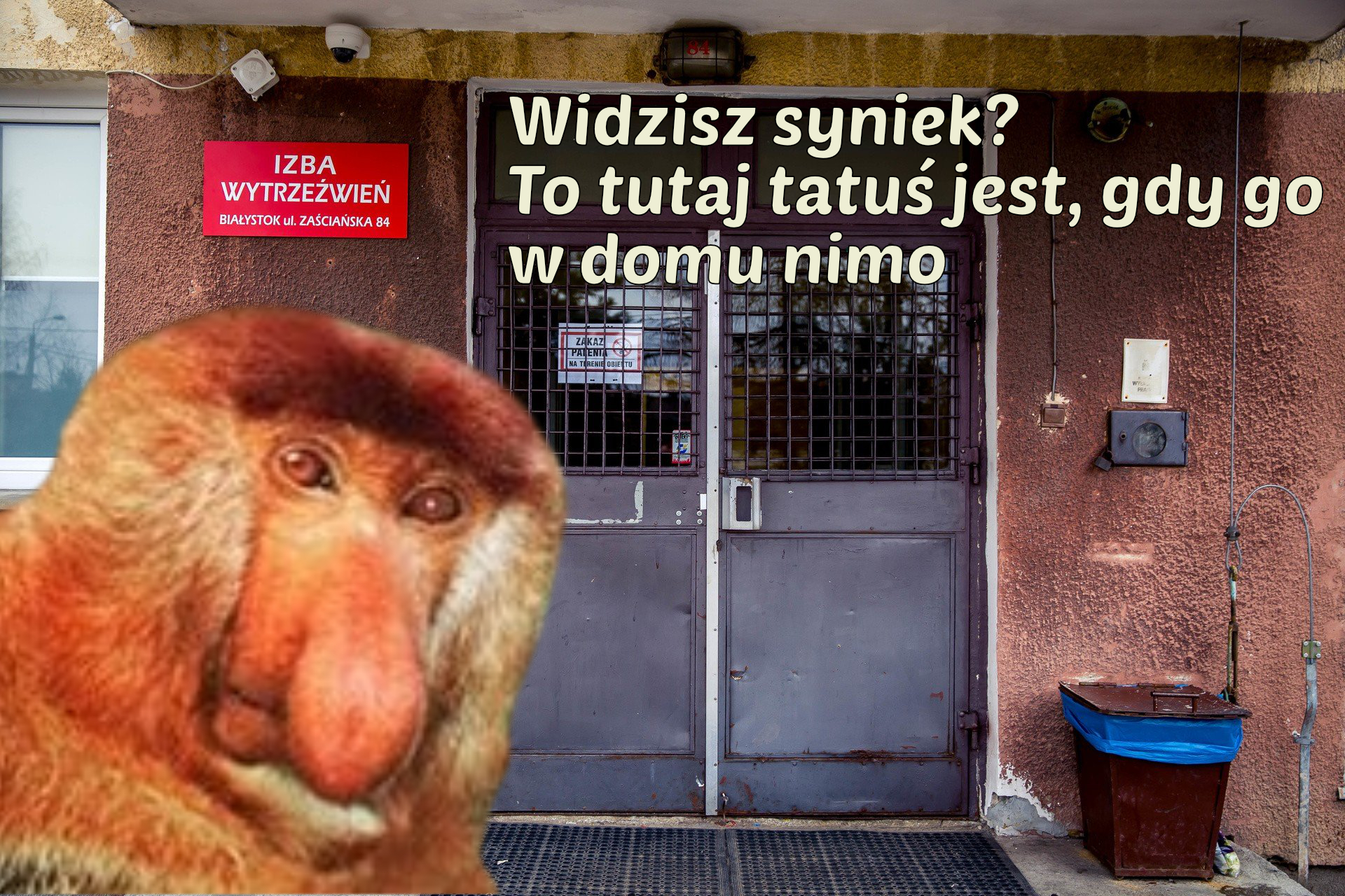 Dzieło sztuki #14566
