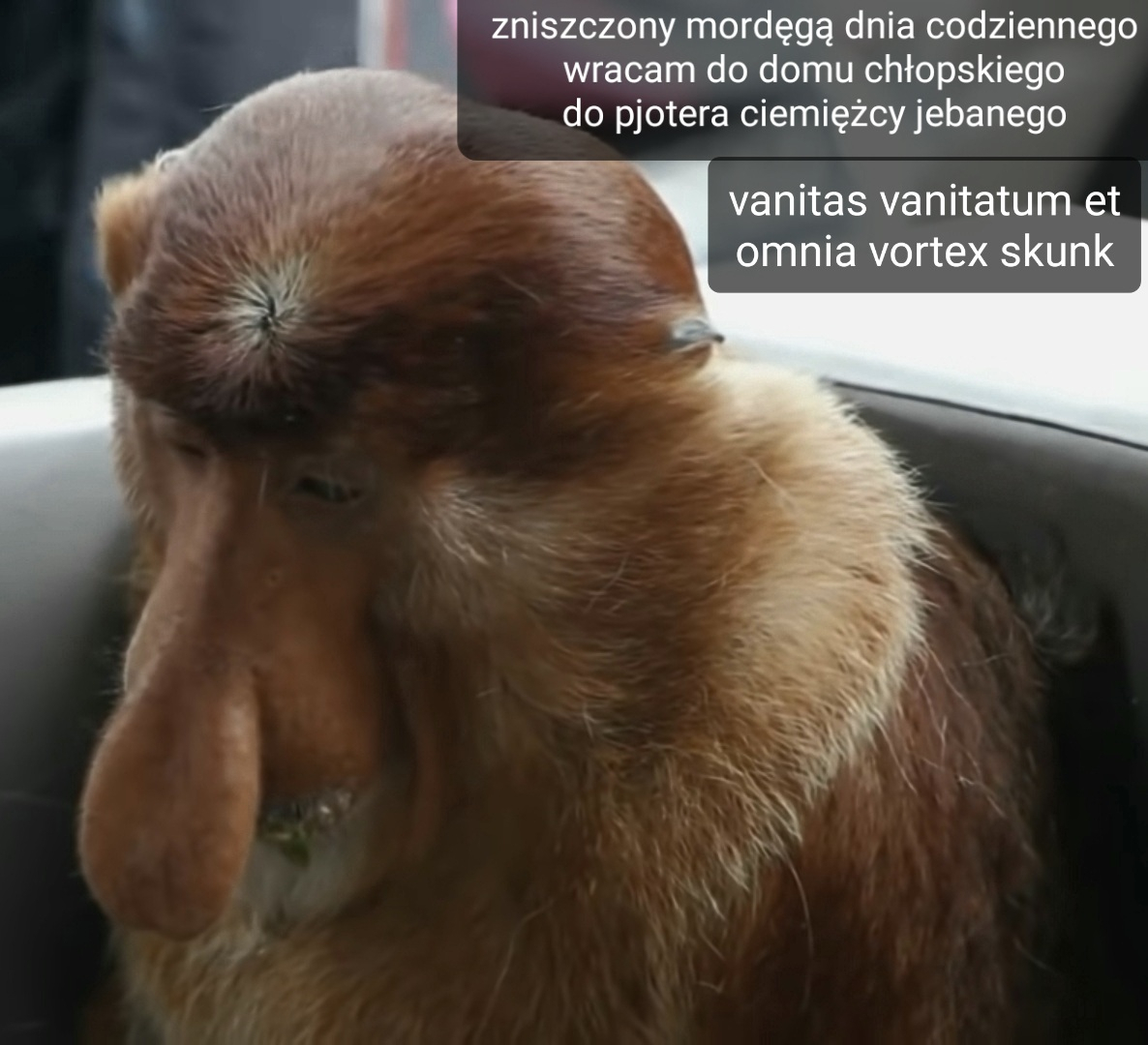 Dzieło sztuki #14568