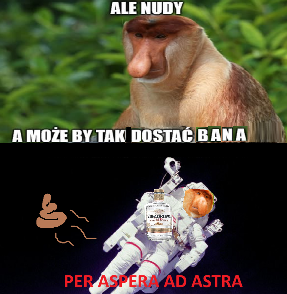Dzieło sztuki #14577