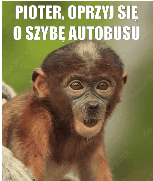 Dzieło sztuki #14592