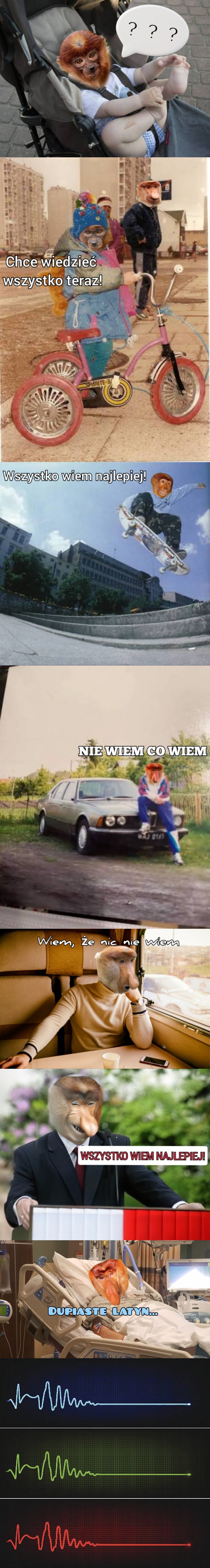 Dzieło sztuki #14650