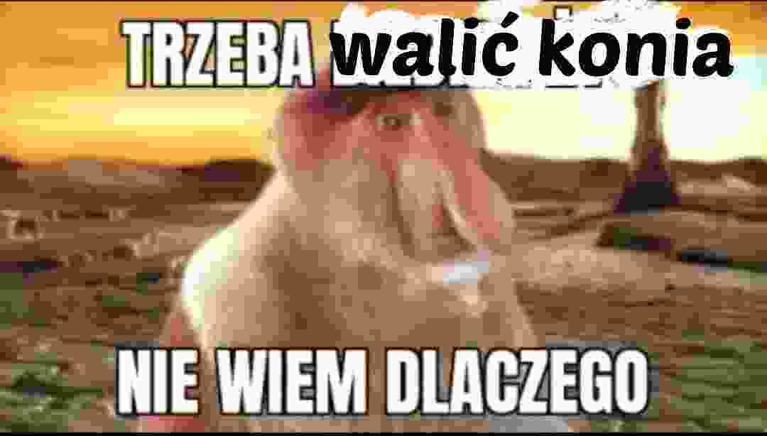 Dzieło sztuki #14656
