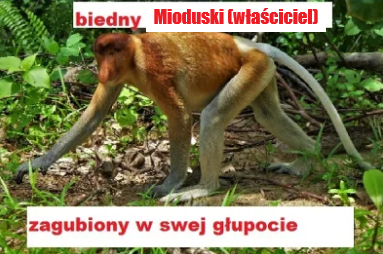 Dzieło sztuki #14674