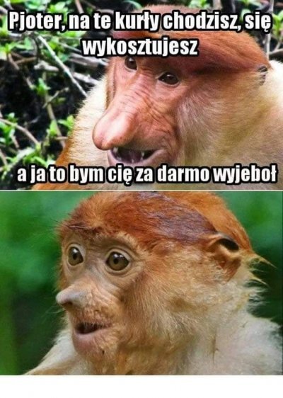 Dzieło sztuki #14677